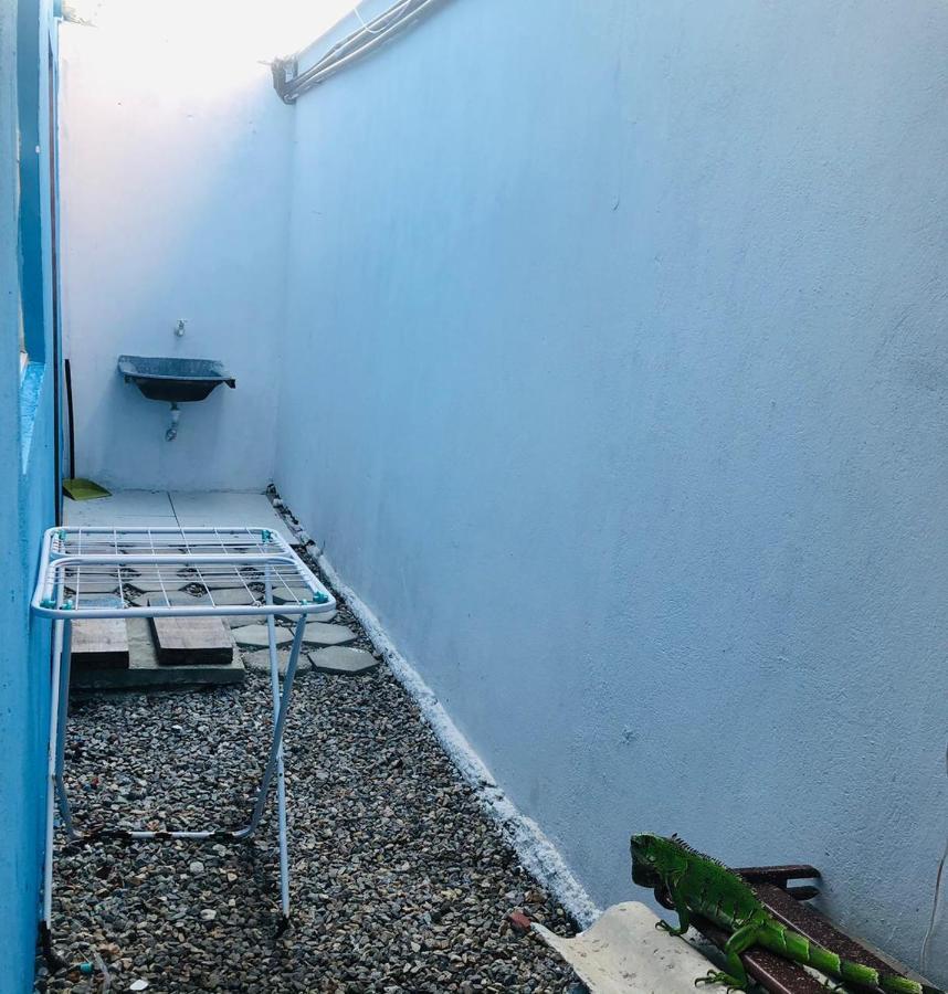 Apartamento Blue Horse Pipa Apartment Praia de Pipa Exterior foto
